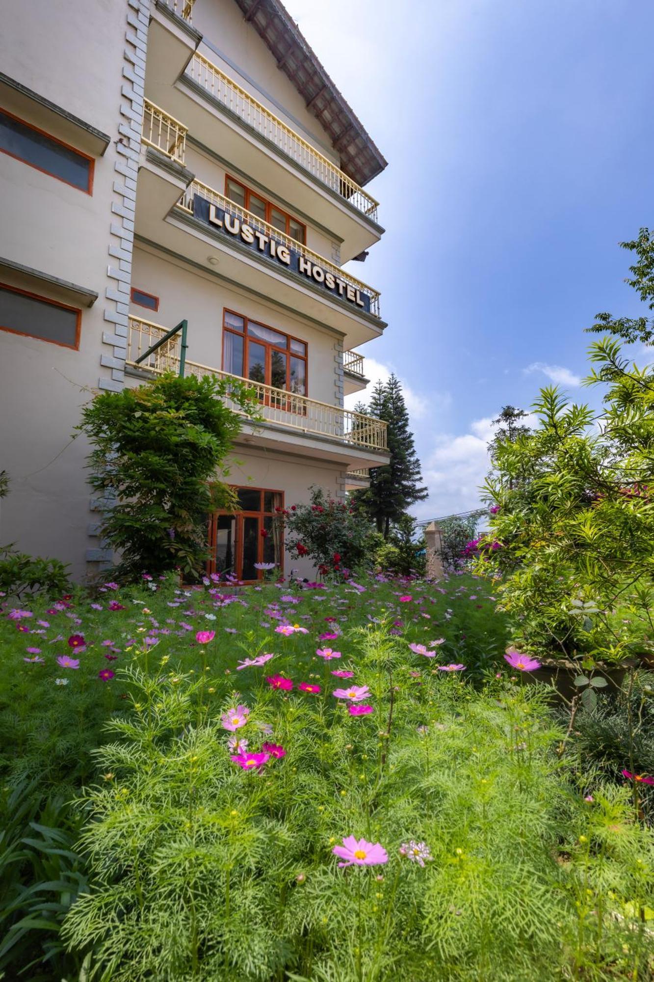 Lustig Hostel 사파 외부 사진